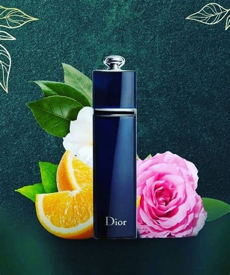 dior addict edp pantip|Dior Addict edp 100 ml.